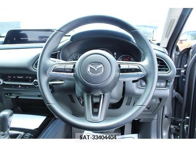 Mazda CX-30 2022-09 295617-17