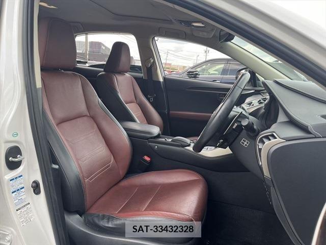 Lexus NX 2014-11 275709-19