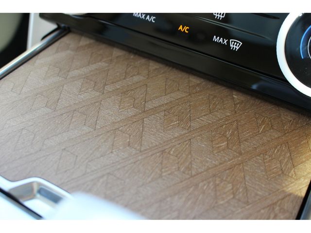 ROVER RANGE ROVER 2022-11 17818-14