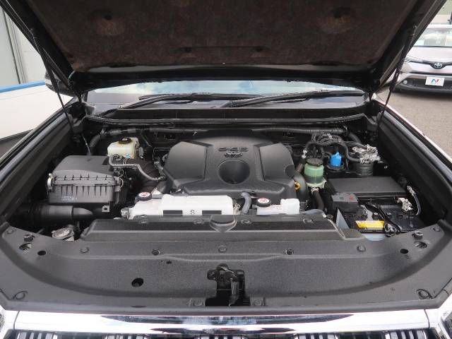 Toyota PRADO 2021-04 181923-18