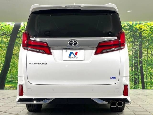Toyota ALPHARD 2021-02 19619-16
