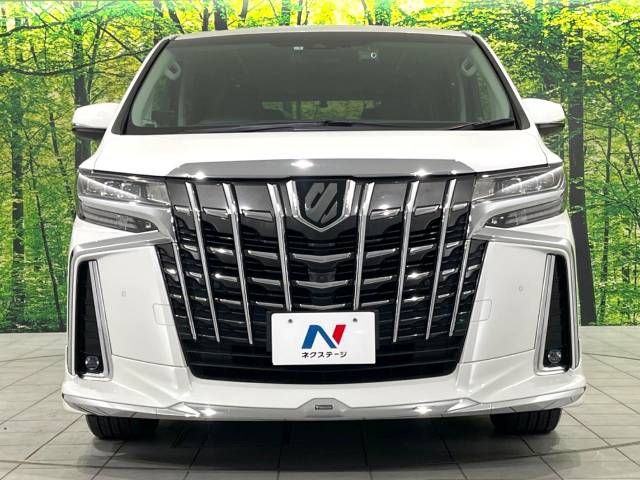 Toyota ALPHARD 2021-02 19619-15