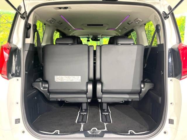 Toyota ALPHARD 2021-02 19619-11