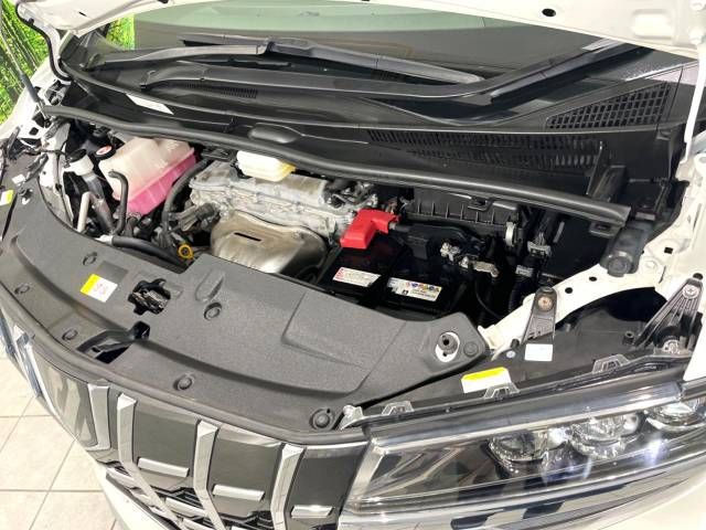 Toyota ALPHARD 2021-02 19619-19