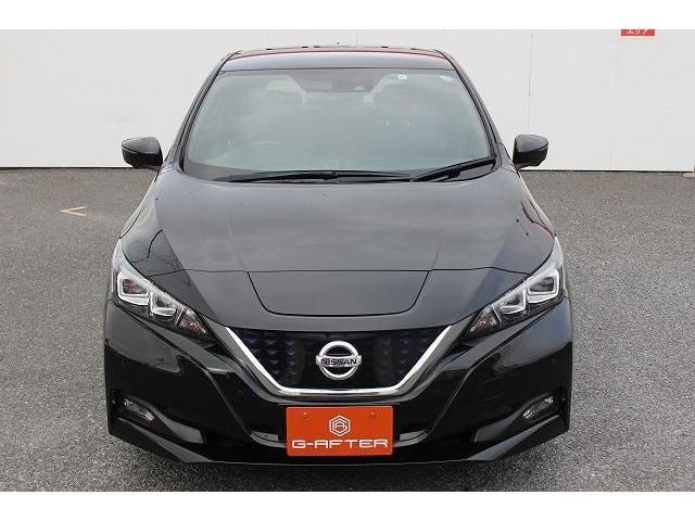 Nissan LEAF 2018-11 183102-5