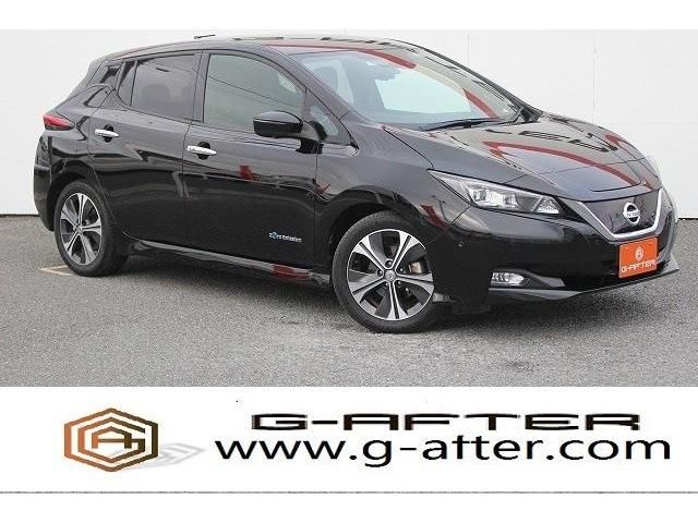 Nissan LEAF 2018-11 183102-0