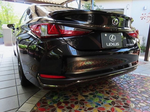 Lexus ES 2023-08 12218-1