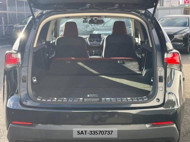Lexus NX 2016-07 275549-10