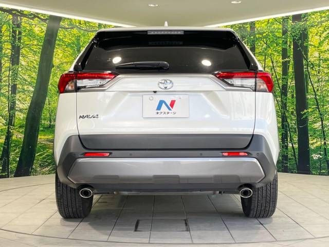 Toyota RAV4 2020-01 19908-15