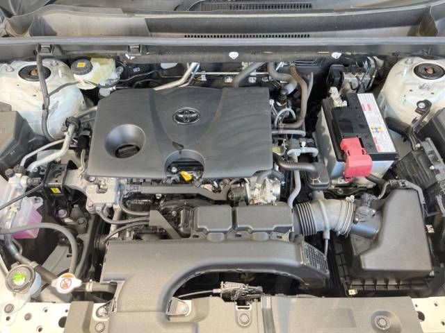 Toyota RAV4 2020-01 19908-18
