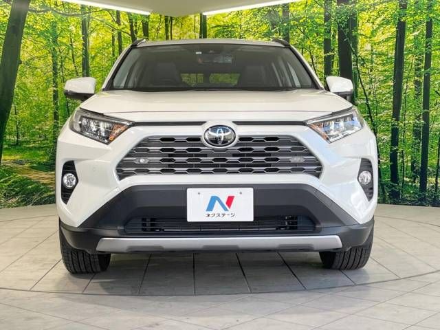 Toyota RAV4 2020-01 19908-14