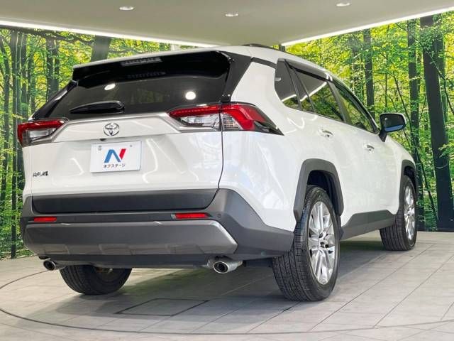 Toyota RAV4 2020-01 19908-17