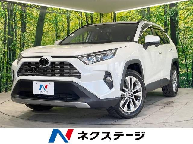 Toyota RAV4 2020-01 19908-0