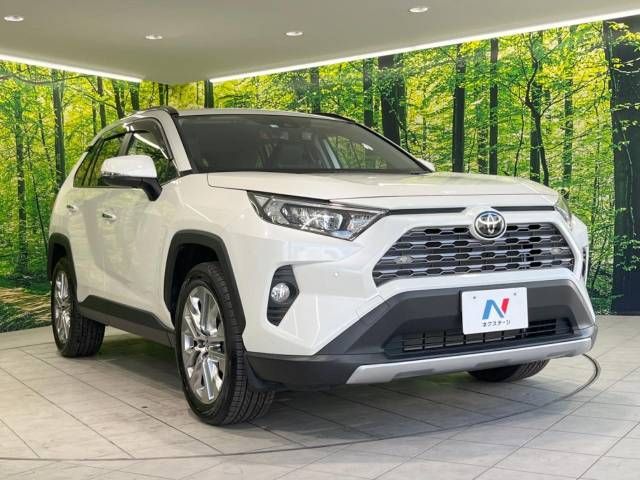 Toyota RAV4 2020-01 19908-16