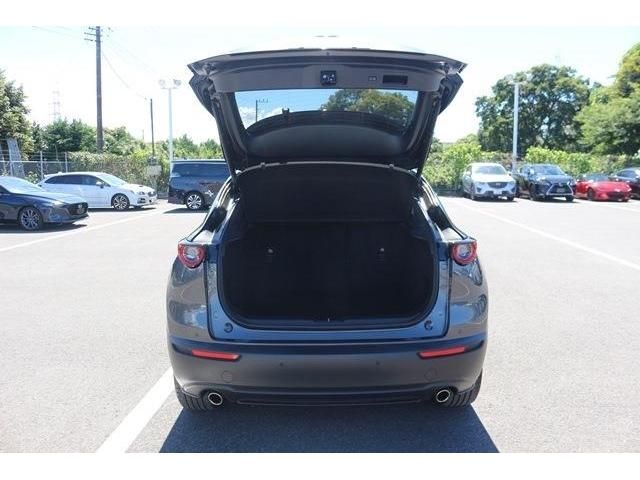 Mazda CX-30 2020-12 24689-11