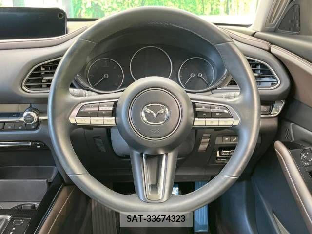 Mazda CX-30 2019-10 302080-11