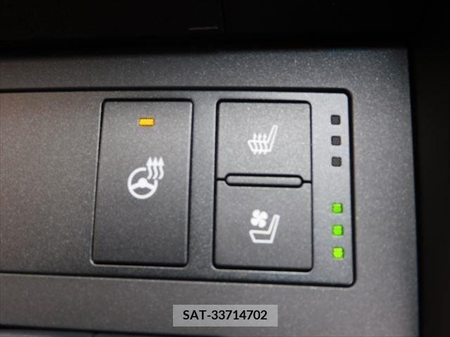 Lexus IS 2020-11 203252-21