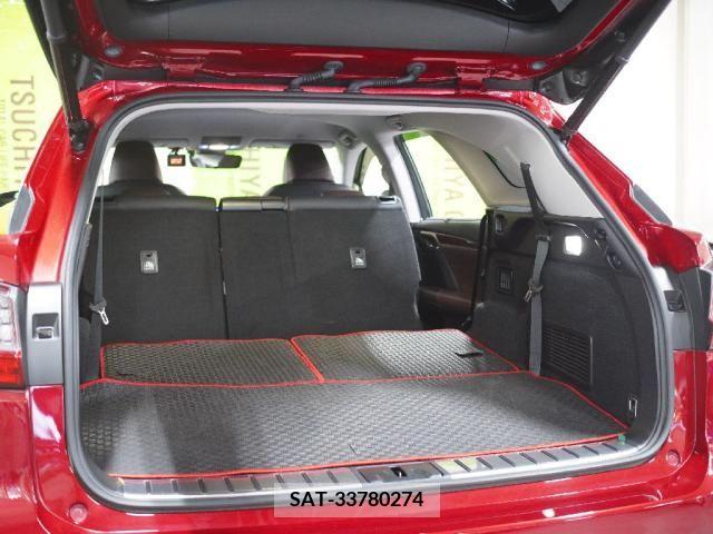 Lexus RX 2019-03 251048-24