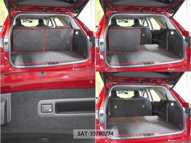 Lexus RX 2019-03 251048-9