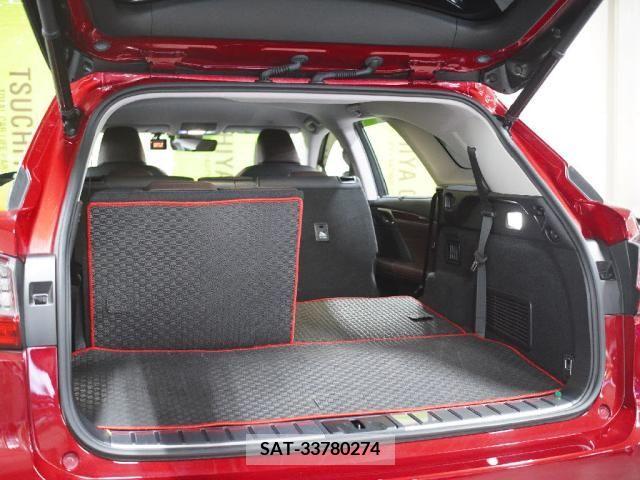 Lexus RX 2019-03 251048-23