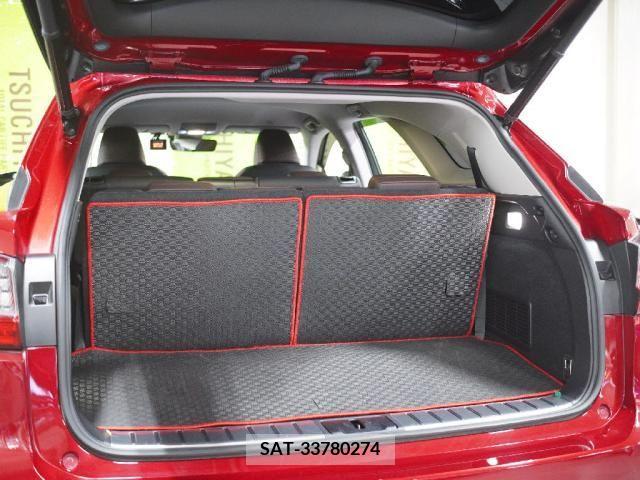 Lexus RX 2019-03 251048-22
