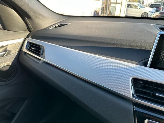 Bmw X1 2017-02 196476-23