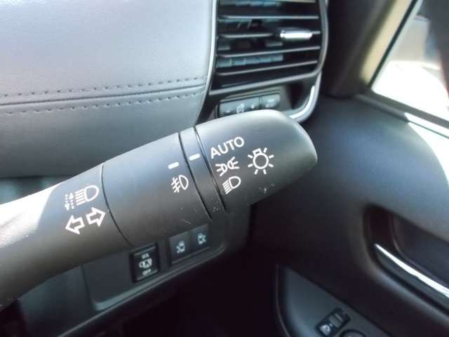 Nissan SERENA 2020-12 18303-15
