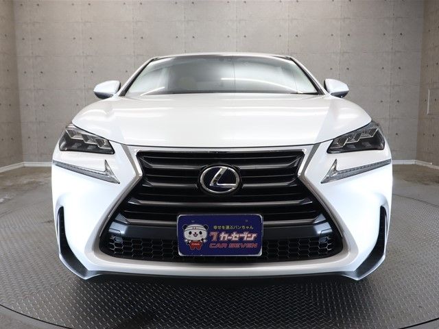 Lexus NX 2016-06 189697-20