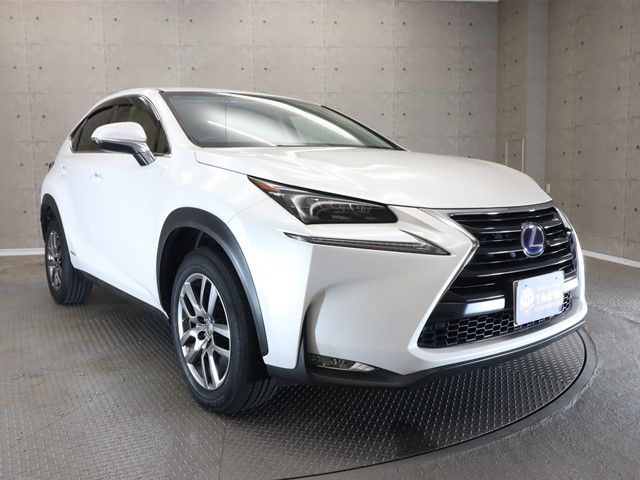 Lexus NX 2016-06 189697-21