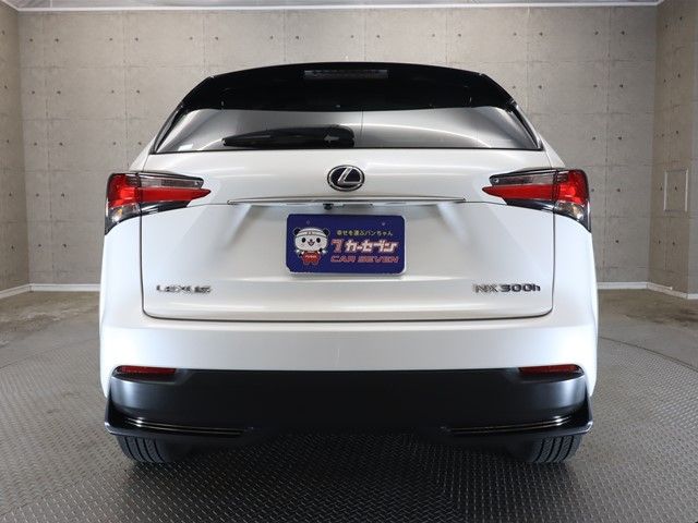 Lexus NX 2016-06 189697-23