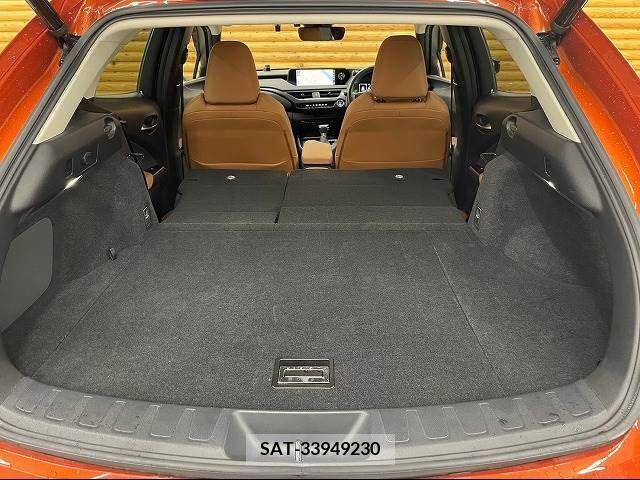 Lexus UX 2019-11 221357-19