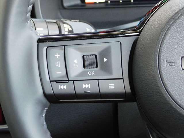 Nissan X-TRAIL 2023-01 13467-8