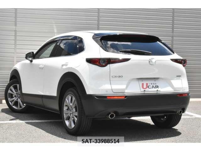 Mazda CX-30 2019-10 337711-2