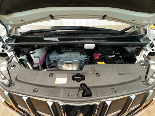 Toyota ALPHARD 2021-09 13060-19