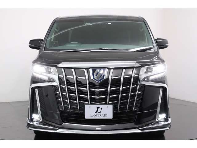 Toyota ALPHARD HYBRID 2019-11 14099-9