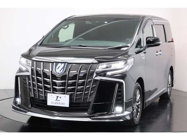 Toyota ALPHARD HYBRID 2019-11 14099-10