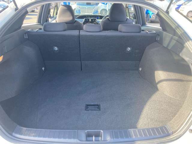Toyota PRIUS 2018-07 259-19