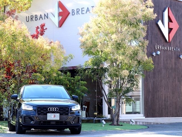 Audi Q2 2018-11 192906-5