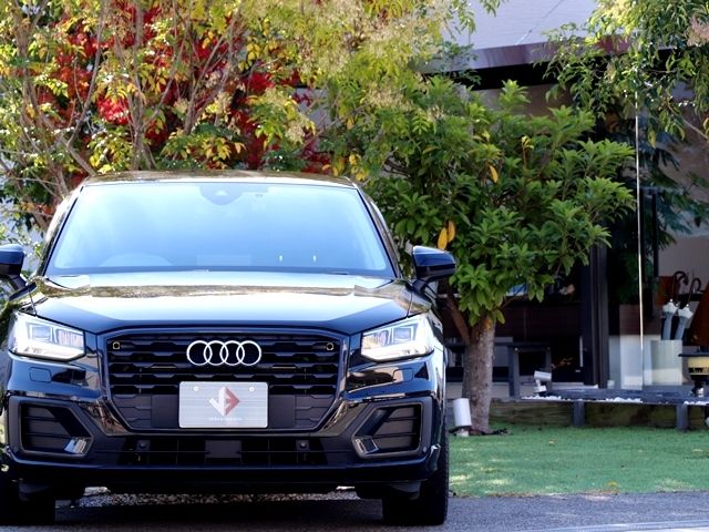 Audi Q2 2018-11 192906-4