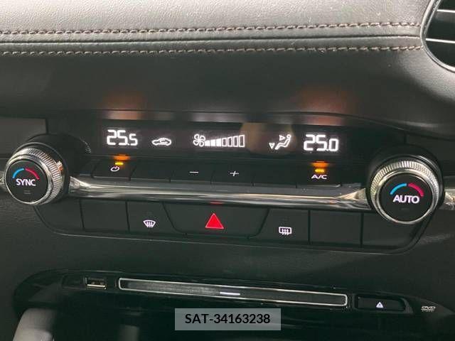 Mazda MAZDA3 2019-12 213917-8