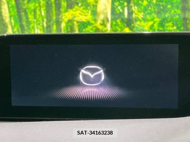 Mazda MAZDA3 2019-12 213917-3