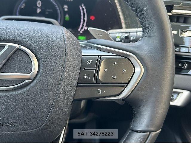 Lexus RX 2023-06 275863-17