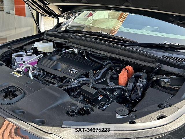 Lexus RX 2023-06 275863-6