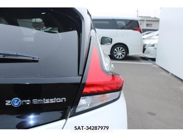 Nissan LEAF 2019-08 324801-10