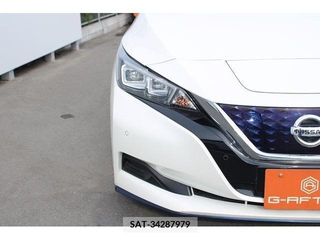 Nissan LEAF 2019-08 324801-9