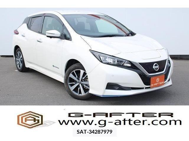 Nissan LEAF 2019-08 324801-0
