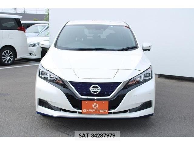 Nissan LEAF 2019-08 324801-5