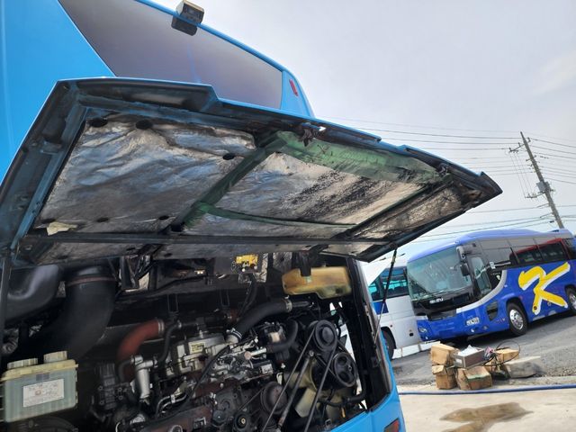 Mitsubishi AERO QUEEN 2009-10 3139-24