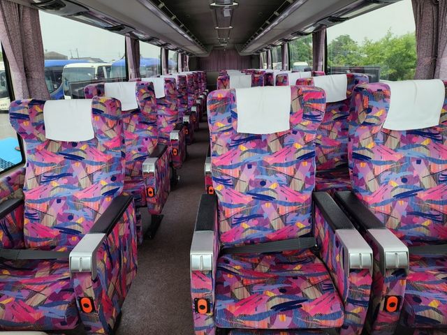 Mitsubishi AERO QUEEN 2009-10 3139-25