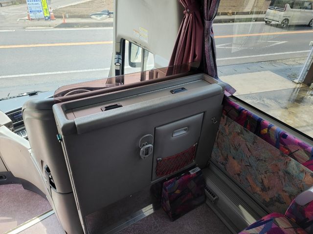 Mitsubishi AERO QUEEN 2009-10 3139-19